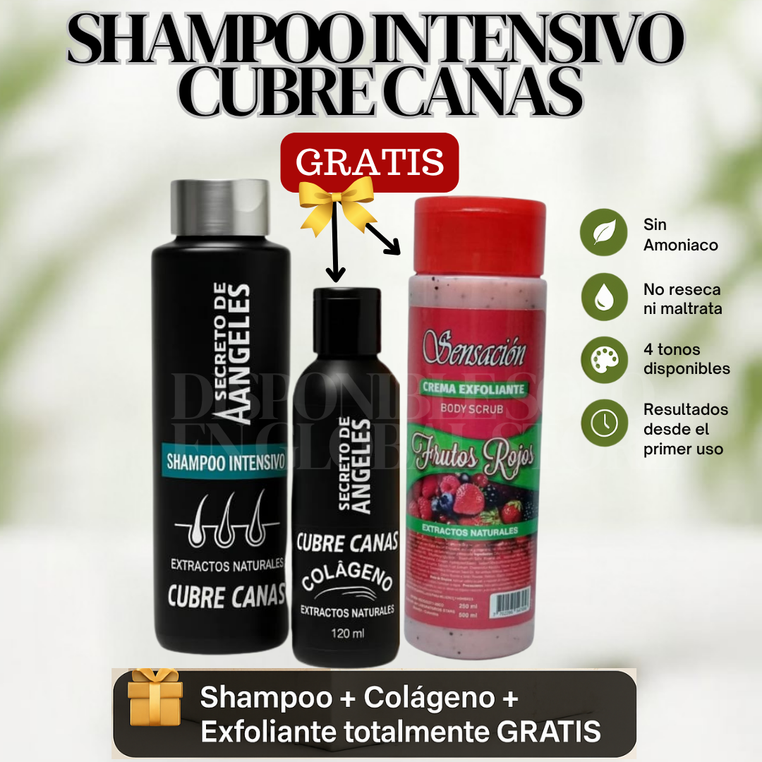Shampoo Cubre Canas ➕ Colageno y Exfoliante GRATIS🎁- Cubre las canas desde la PRIMERA aplicación ✨DSTO 30%