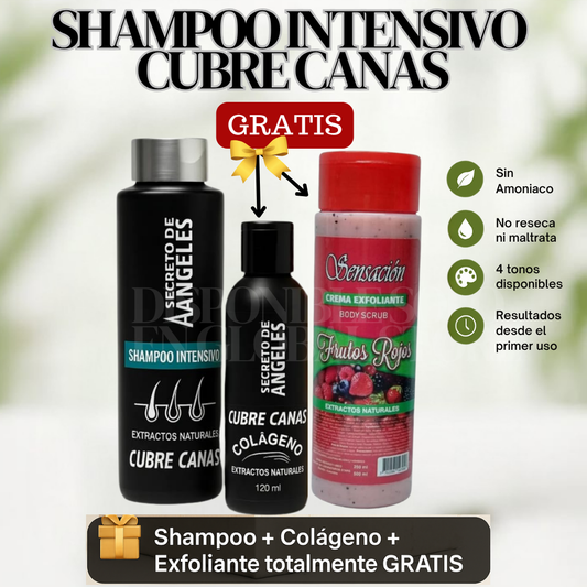 Shampoo Cubre Canas ➕ Colageno y Exfoliante GRATIS🎁- Cubre las canas desde la PRIMERA aplicación ✨DSTO 30%